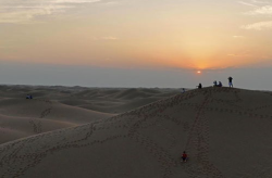 中卫沙漠写真,中卫沙漠写真下的壮美画卷